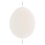 Perles plates en nacre - forme ovale 11x9 mm x10