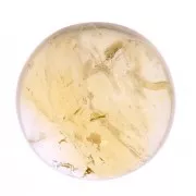 Cabochon rond 5 mm en pierre gemme - Citrine x1