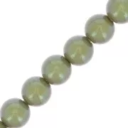 Perles rondes nacrées Preciosa - Round Pearl Maxima 4 mm - Pearlescent Khaki x30