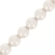 Perles rondes nacrées Preciosa - Round Pearl Maxima 4 mm - White x30