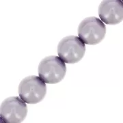 Perles rondes nacrées Preciosa - Round Pearl Maxima 5 mm - Lavender x25