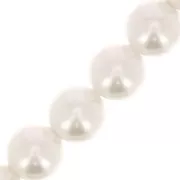 Perles rondes nacrées Preciosa - Round Pearl Maxima 8 mm - Light Creamrose x10