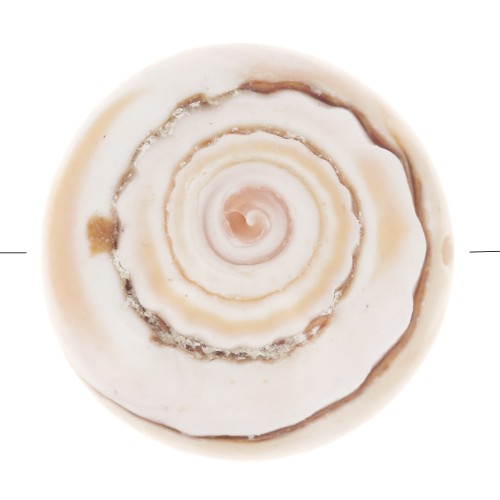 Perle en coquillage 17 mm - Naturel x1