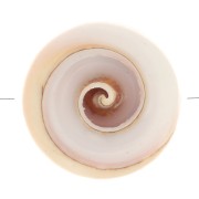 Perle en coquillage 17 mm - Naturel x1