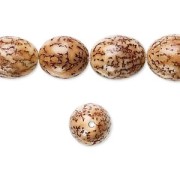 Graines polies de Veitchia merrillii - noix de Betel 15x10 mm Naturel x 5|raw }}