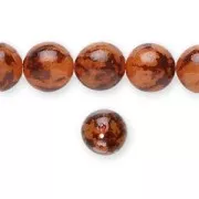 Graines de buri 12 mm Marron  x 5