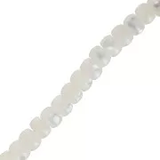 Perles rondelles Heishi en nacre 6x4 mm x40cm