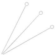 Clous tête ronde 38x0.50 mm en Argent 925 x10