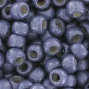 Rocaille Toho 11/0 TO11RPF567F - PF Metallic Polaris Mat x8g