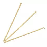 Clous tête plate 25x0.7 mm - Acier inoxydable 304L Doré x6