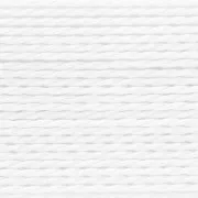 Fil Nylon Power High Performance 0.35 mm - Blanc x2m