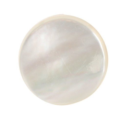 Cabochon plat rond - palet - 10 mm en nacre x1