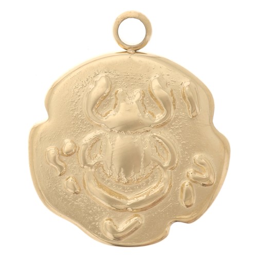 Breloque irrégulière 14.5x12 mm - motif scarabée - Acier inoxydable 316L Doré x1