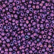 Rocaille Toho 11/0 TO11R461 - Higher Metallic Grape x8g