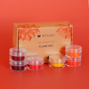 Kit perles Miyuki By Perles & Co - Assortiment Miyuki Delica 11/0 Flame Mix