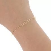 Chaîne maille Rectangle 2.9 mm - Gold filled (or laminé)  x50cm