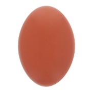 Cabochon ovale en résine opaque 14x10 mm - Terracotta x1|raw }}
