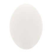 Cabochon ovale en résine opaque 14x10 mm - Ivoire x1