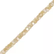 Perles rondelles Heishi en nacre teintée 4x2 mm - Ocre x39cm