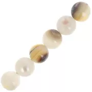 Perles rondes en nacre 6 mm x25