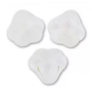 Perles fleurs cloches  10 mm Crystal Mat AB x20