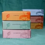 Kit perles Miyuki By Perles & Co - Assortiment Miyuki Delica 11/0 Eucalyptus Mix