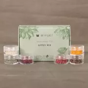 Kit perles Miyuki By Perles & Co - Assortiment Miyuki Delica 11/0 Gypsy Mix