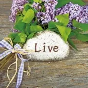 Outil rotatif sans fil avec 6 embouts pour graver, meuler et poncer x1