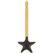 Pendentif barre avec étoile 28x10 mm et résine époxy - Doré à l'or fin - Noir x1