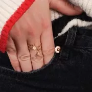 Bague 2 anneaux ouverts - Taille 57 - Acier inoxydable 316L Doré x1