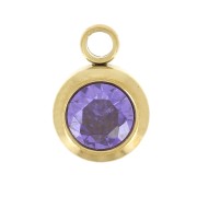 Breloque pierre naissance oxyde zirconium 6mm Février Acier inox304L  Doré Amethyst|raw }}