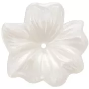 Pendentif Fleur  23 mm en résine transparente - Ivoire nacré x1