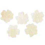 Pendentif Fleur  23 mm en résine opaque - Crème x1