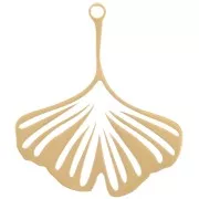 Pendentif Ginkgo 26x22 mm - Acier inoxydable 316L Doré x1