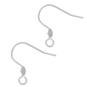 Crochets d'oreilles 17 mm avec anneau ouvert - Acier inoxydable 304 x2|raw }}