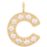 Breloque lettre alphabet 13 mm & oxydes de Zirconium - C - Acier inox 316L Doré x1|raw }}