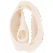 Coquillage Cauri 18 à 20 mm avec résine époxy - Naturel -  Dark gold pailleté x1