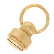 Rivets avec anneau 9x8 mm pour coque telephone portable - Acier inox 304 Doré x2