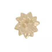 Éléments à coller