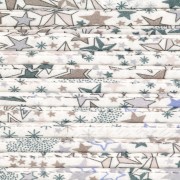 Cordon en tissu Liberty - Adelajda - Délavé x1m