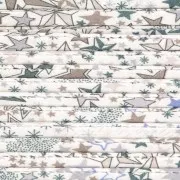 Cordon en tissu Liberty - Adelajda - Délavé x1m