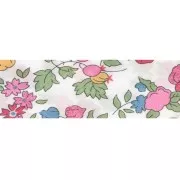 Biais en tissu Liberty Organic - Nancy Ann - Fraise x1m