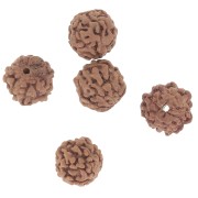 Perles graines naturelles de Rudraksha larmes de shiva 6.5 mm x20|raw }}