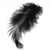 Plumes 8 à 12 cm Noir x3gr