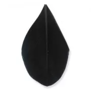 Plumes 6 cm Noir x3gr