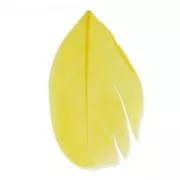 Plumes 6 cm Jaune x3gr