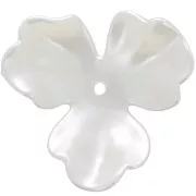 Pendentifs fleur 36 mm en plastique - Blanc nacré x10