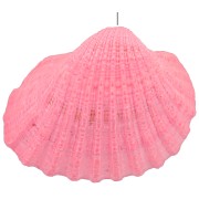 Pendentif coquillage teinté 16 à 20 mm - Rose x1
