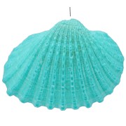 Pendentif coquillage teinté 16 à 20 mm - Turquoise x1|raw }}