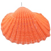Pendentif coquillage teinté 16 à 20 mm - Orange x1|raw }}